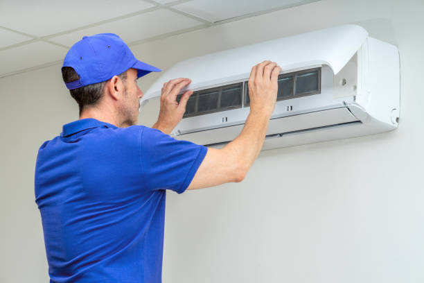 Best Air Duct Sanitizing Services  in Shenandoah, IA